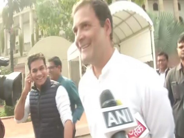 Congress leader Rahul Gandhi at Parliament on Tuesday. Photo/ANI