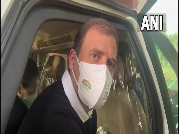 Congress leader Rahul Gandhi (Photo/ ANI)