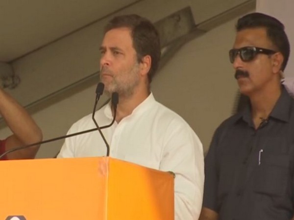 Congress leader Rahul Gandhi (File Photo)