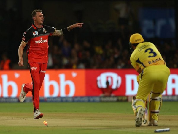 Dale Steyn celebrates after dismissing Suresh Raina (Photo/ RCB Twitter)