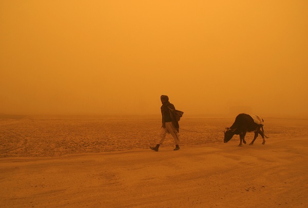 Representative image