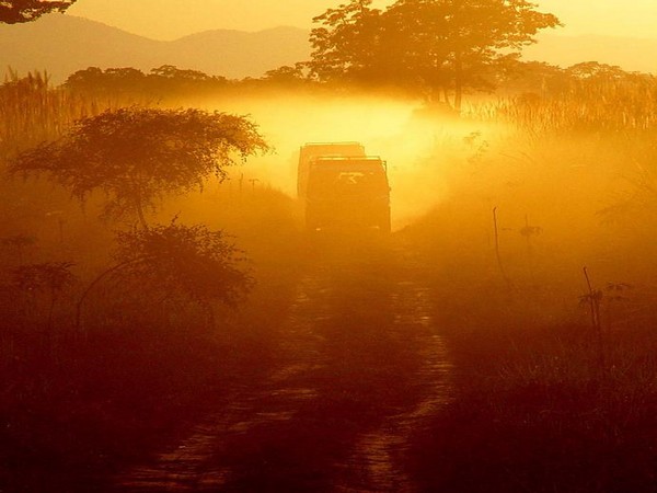 Kaziranga National Park is one of the most popular tourism destinations in the state. (File photo)