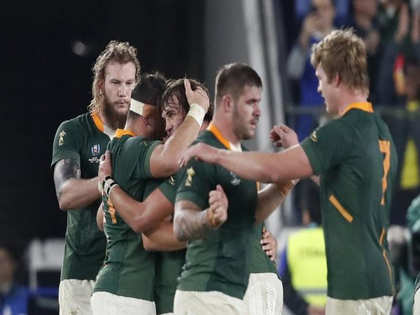 South Africa's rugby team celebrates after winning semi-final against Wales 