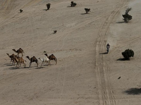 Representative image