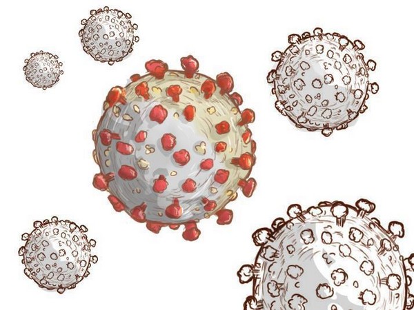 Representative image of coronavirus (Image Credits/Reuters)