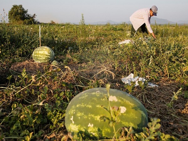 Representative image (Reuters picture)