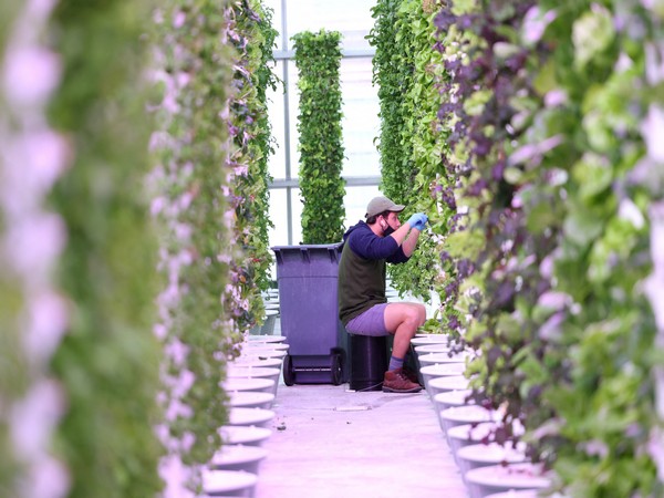 Representative Image (Image Source: Reuters)