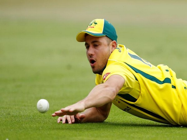 Australia's all-rounder Marcus Stoinis 