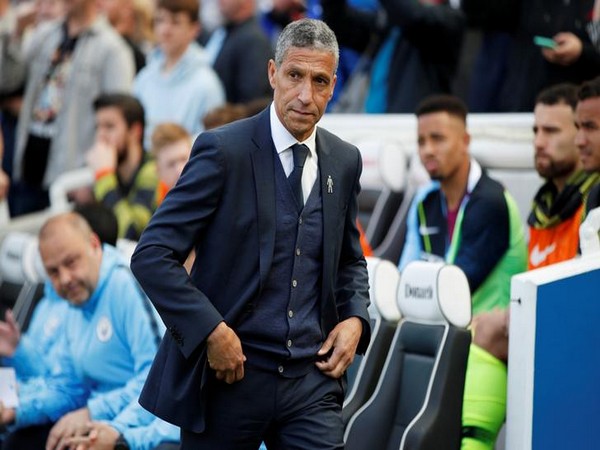 Brighton manager Chris Hughton 
