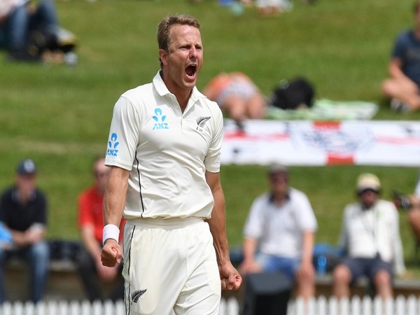 New Zealand pacer Neil Wagner (file image)