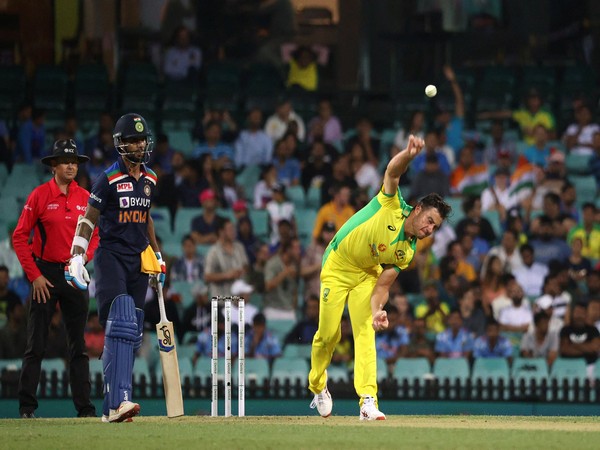 Australia all-rounder Marcus Stoinis