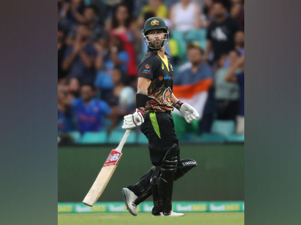 Australia T20I skipper Matthew Wade