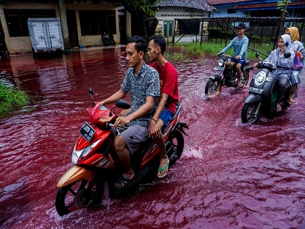 Visuals of floods in Indonesia (Credit: Reuters Pictures)