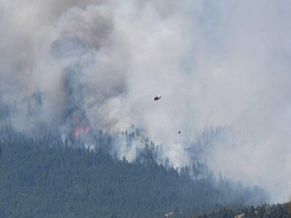 Wildfires raging in Lytton village of Canada's British Columbia (Credit: Reuters)