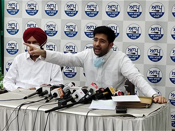 Delhi MLA, Raghav Chadha (Photo/ANI)