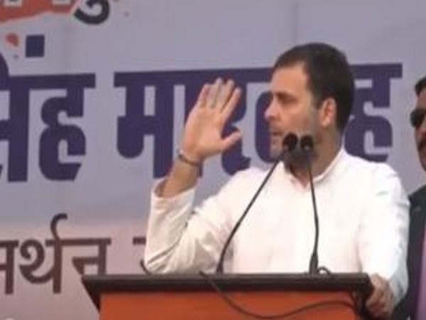 Congress leader Rahul Gandhi at an election rally in Jangpura ahead of Delhi polls. Photo/ANI