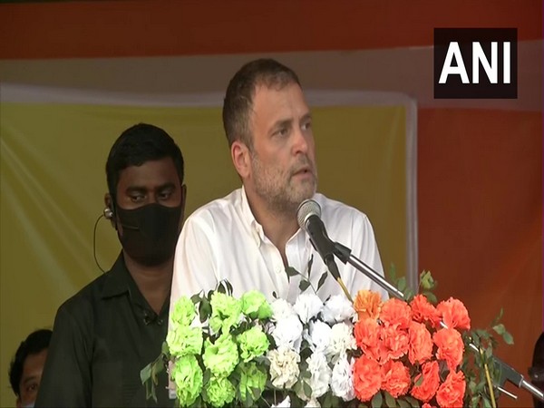 Congress leader Rahul Gandhi (File pic)
