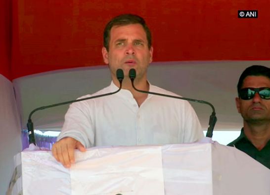 Congress president Rahul Gandhi (File Photo)