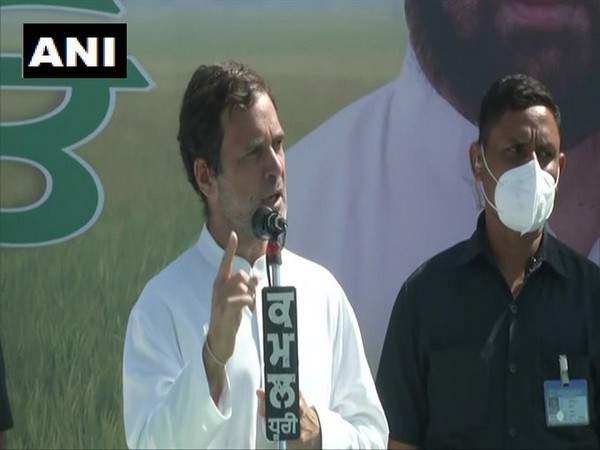 Congress leader Rahul Gandhi addresses the Sangrur rally in Punjab on Monday. (Photo/ANI)