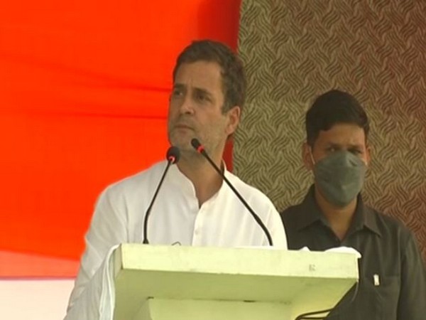 Congress leader Rahul Gandhi addresses the rally in Bihar's Araria on Wednesday. (Photo/ANI)