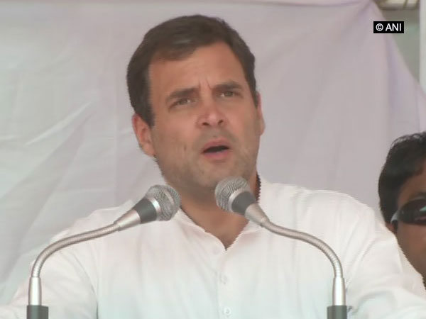 Congress president Rahul Gandhi at a rally in Bhiwani, Haryana, on Monday, Photo/ANI
