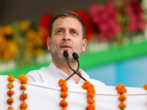 Congress president Rahul Gandhi