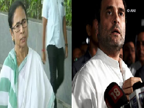 Chief Minister Mamata Banerjee and Congress Leader Rahul Gandhi File/Photo