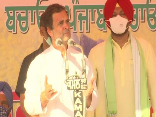Congress leader Rahul Gandhi speaking at rally in Ludhiana on Sunday. Photo/ANI