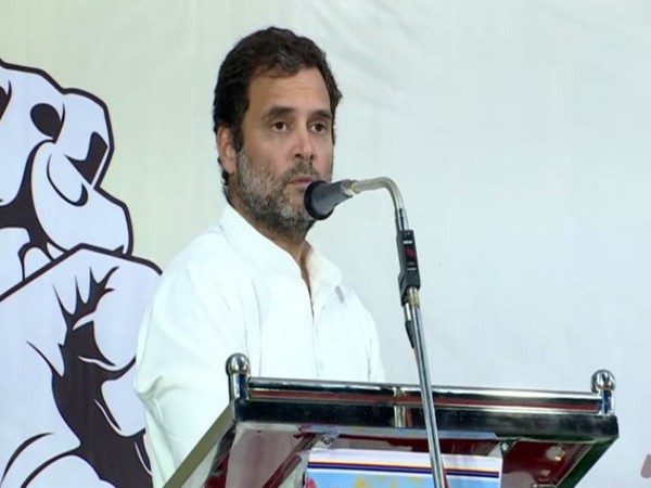 Congress leader Rahul Gandhi (File photo/ANI)