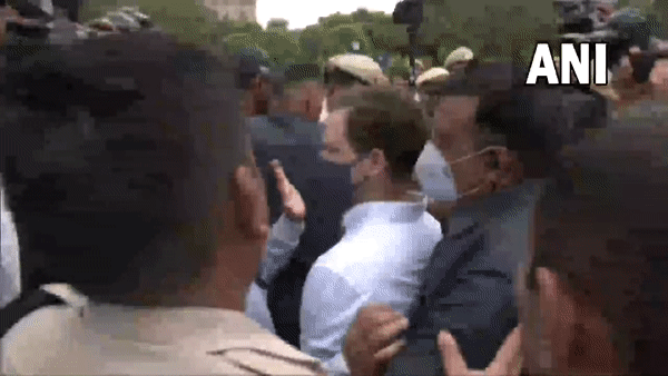 Congress leader Rahul Gandhi (Photo/ANI)