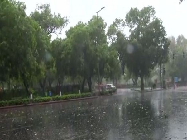 Rain in parts of Delhi on Saturday. Photo/ANI