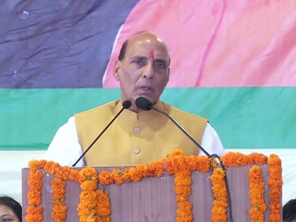 Defence Minister Rajnath Singh (File photo)