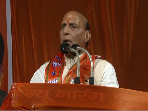 Union Home Minister Rajnath Singh (File photo)