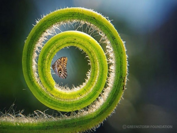 First Prize - Rakayet Ul Karim Rakim