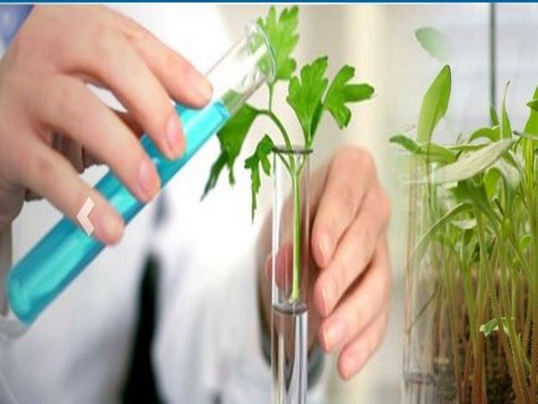 Rallis' agro inputs and services are spread across 80 pc of India's districts