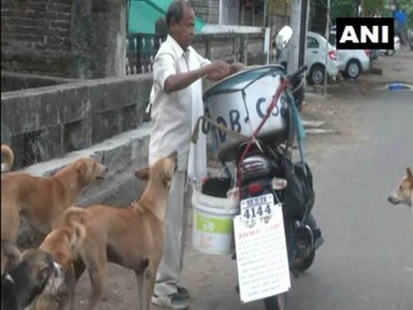 Ranjeet Nath distributing biryani to stray dogs. (Photo/ANI)