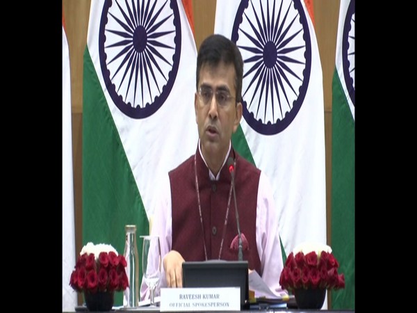 External Affairs Ministry spokesperson Raveesh Kumar