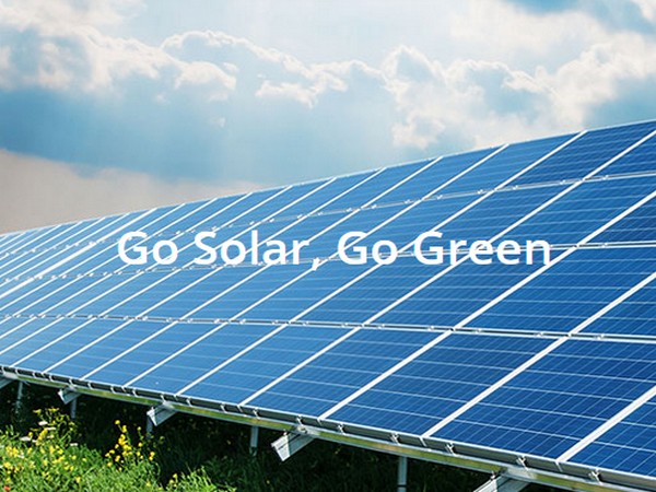 ReNew and Greenko account for 11 pc of India's total renewable installed capacity.