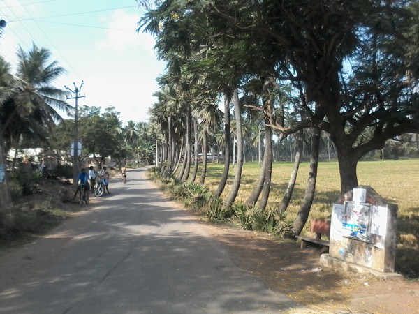 Representative image