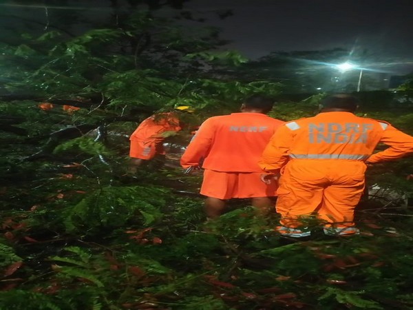 Restoration work by NDRF personnel underway at Airport Road in Kolkata in West Bengal