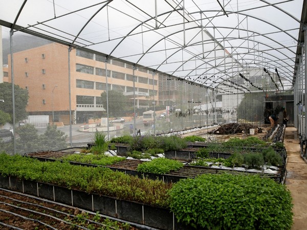 Men working at a greenhouse on the rooftop of a building (Picture Credits: Reuters)