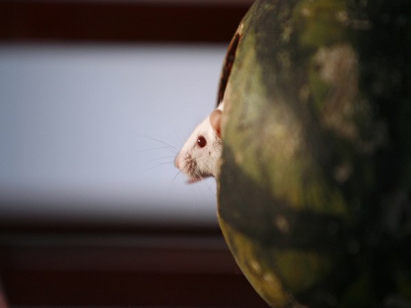 Representative Image. (Photo Credit - Reuters)