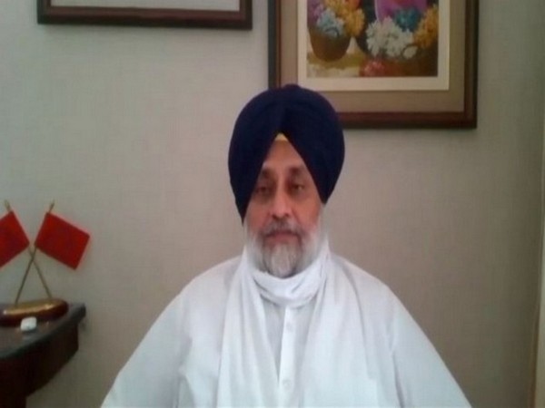 Shiromani Akali Dal (SAD) President Sukhbir Singh Badal. (File Photo)