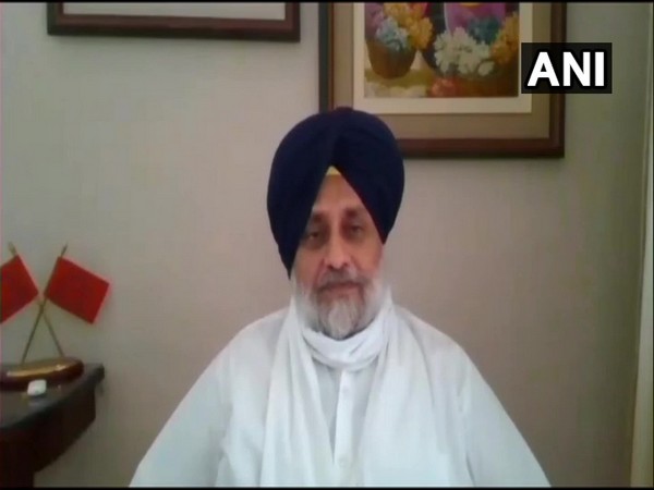 President of Shiromani Akali Dal, Sukhbir Singh Badal (Photo/ANI)