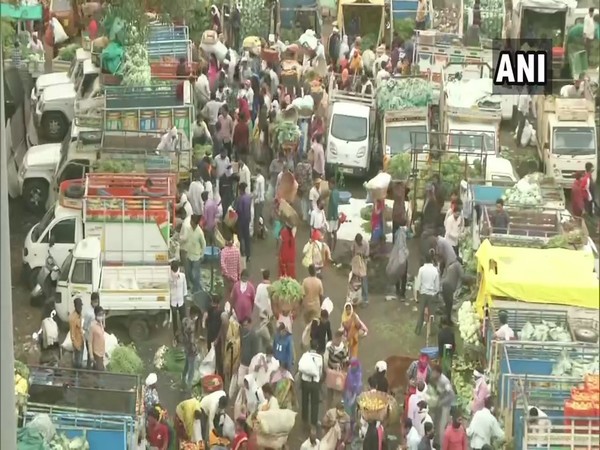 Visual of Cotton Market in Nagpur (Photo/ANI)