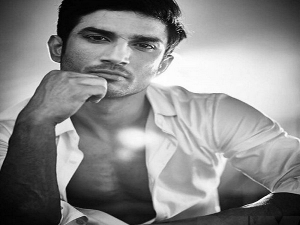 Sushant Singh Rajput (Photo/Shikhar Dhawan Instagram)