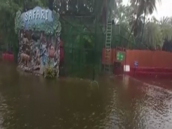 A visual from Nehru Zoological Park on Saturday. (Photo/ANI)