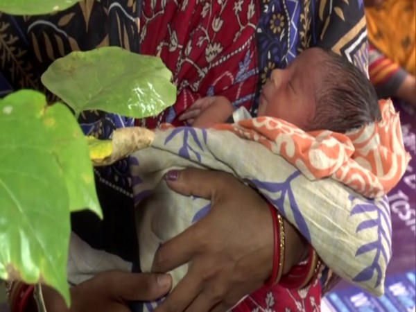 A Bhubaneswar hospital is handing out tree saplings to the parents of the newborns delivered in the hospital under their innovative scheme “One baby one tree”.