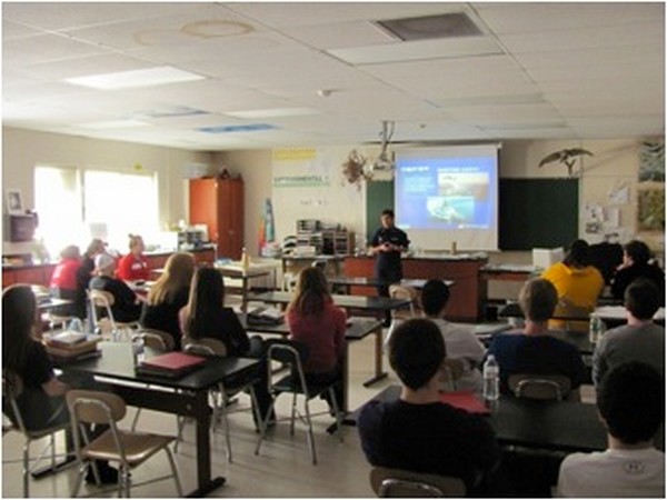 Representative image