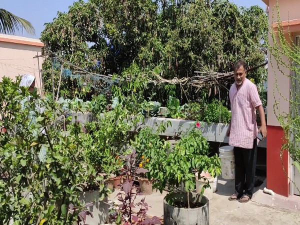 Professor Dr Keshab Chandra Mondal at his rooftop garden (Photo/ANI)
